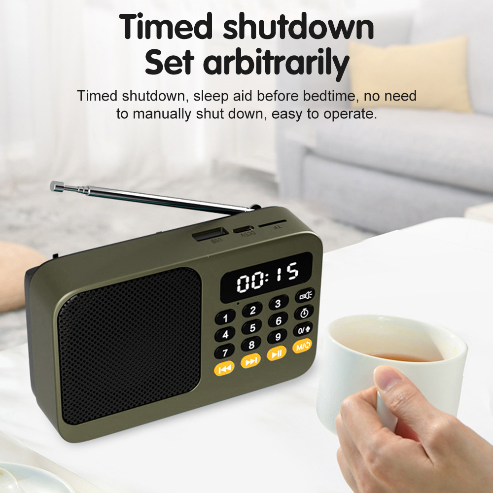 Handheld Rechargeable Digital  - Audio Music Play recension och pris