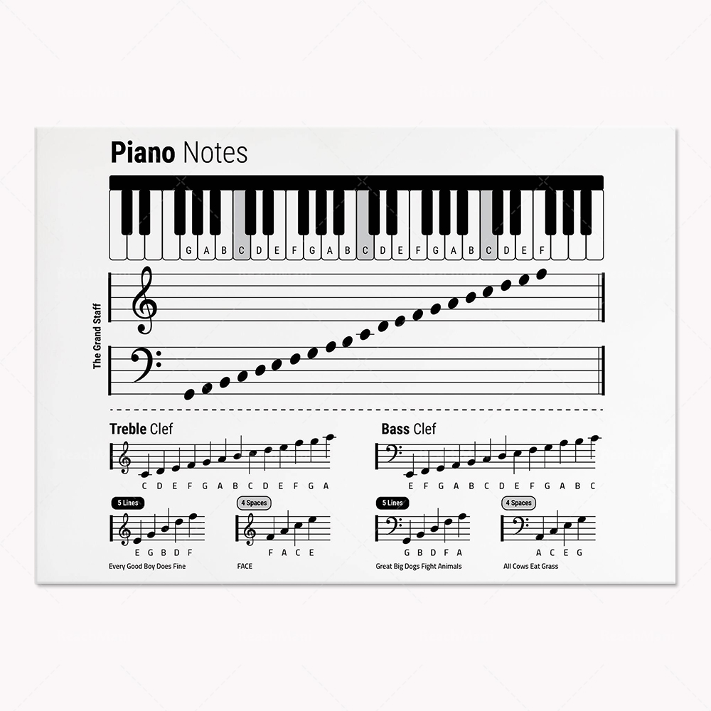 Guitar theory, piano, audio sp - Audio Into Music Sheet recension och pris