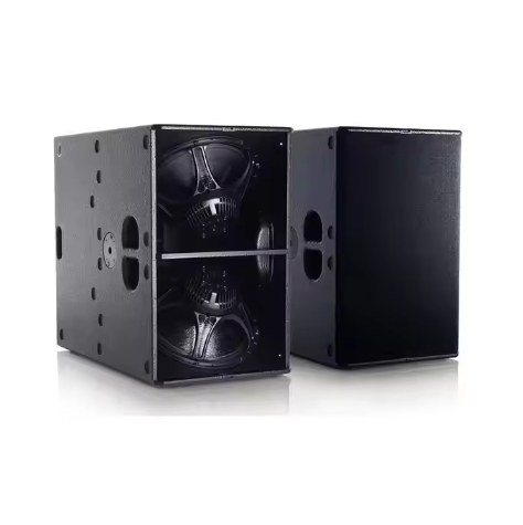 Professional Famous T24N Dual  - Audio Music Hall recension och pris